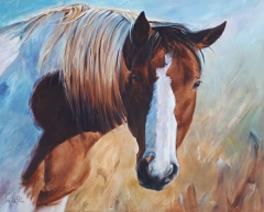 A Paint on Canvas
