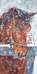 Snowy Bay