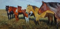 Prairie Posse