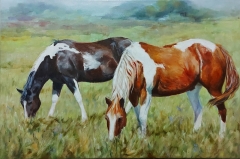 Peaceful Paints