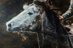 Roan on the Run