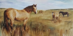 Home on the Range