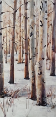 Aspens in the Snow