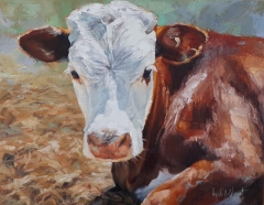 Cow