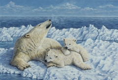 Northern Pride