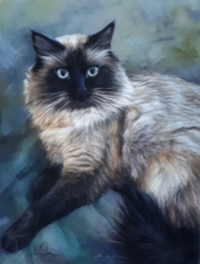 Loki
