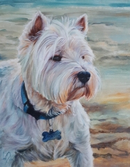 Cooper