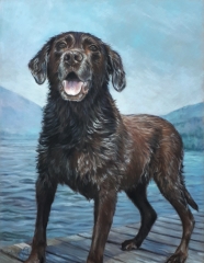 Kodi