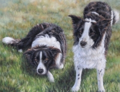 Sadie & Sam