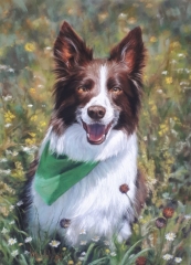 Apollo